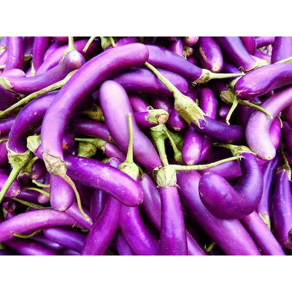 Eggplant Seeds for Planting | 250 Long Purple Eggplant Seeds to Plant Home Outdoor Garden | Heirloom & Non-GMO Vegetable Seeds | Buy in Bulk (2 Packs)