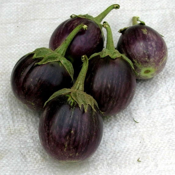 Eggplant Seeds - Round Purple - 500 Mg Packet ~180 Seeds - Non-GMO, Heirloom - Asian Garden Vegetable