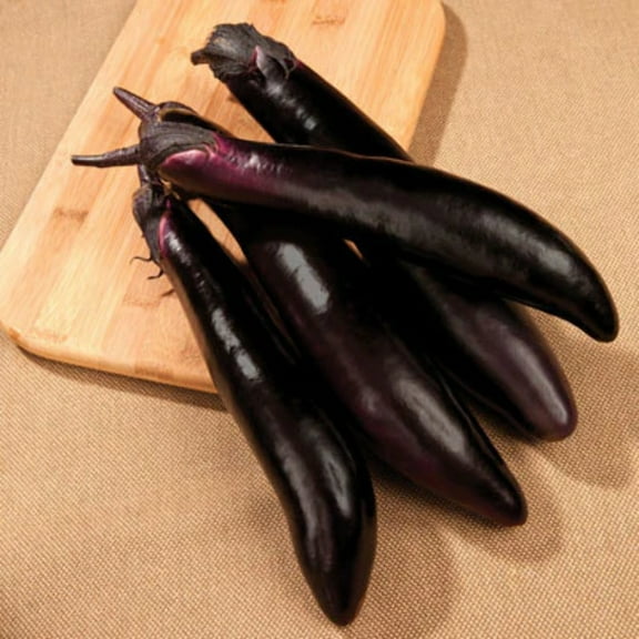 Eggplant Seeds - Shikou Untreated Non-GMO Variety Eggplant Seeds - Non-GMO - 50 Seeds