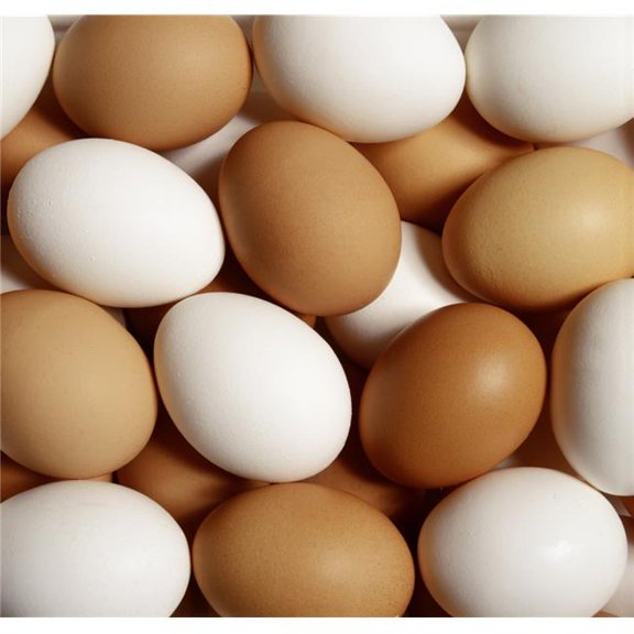 Eggs Poster Print by David Chapman, 14 x 13