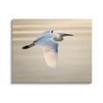 thumbnail image 1 of Egret Gliding Aerial View Animals & Insects Photograph Gallery Wrapped Canvas Print Wall Art, 1 of 7