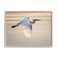 thumbnail image 1 of Egret Gliding Aerial View Animals & Insects Photograph Gray Framed Art Print Wall Art, 1 of 7