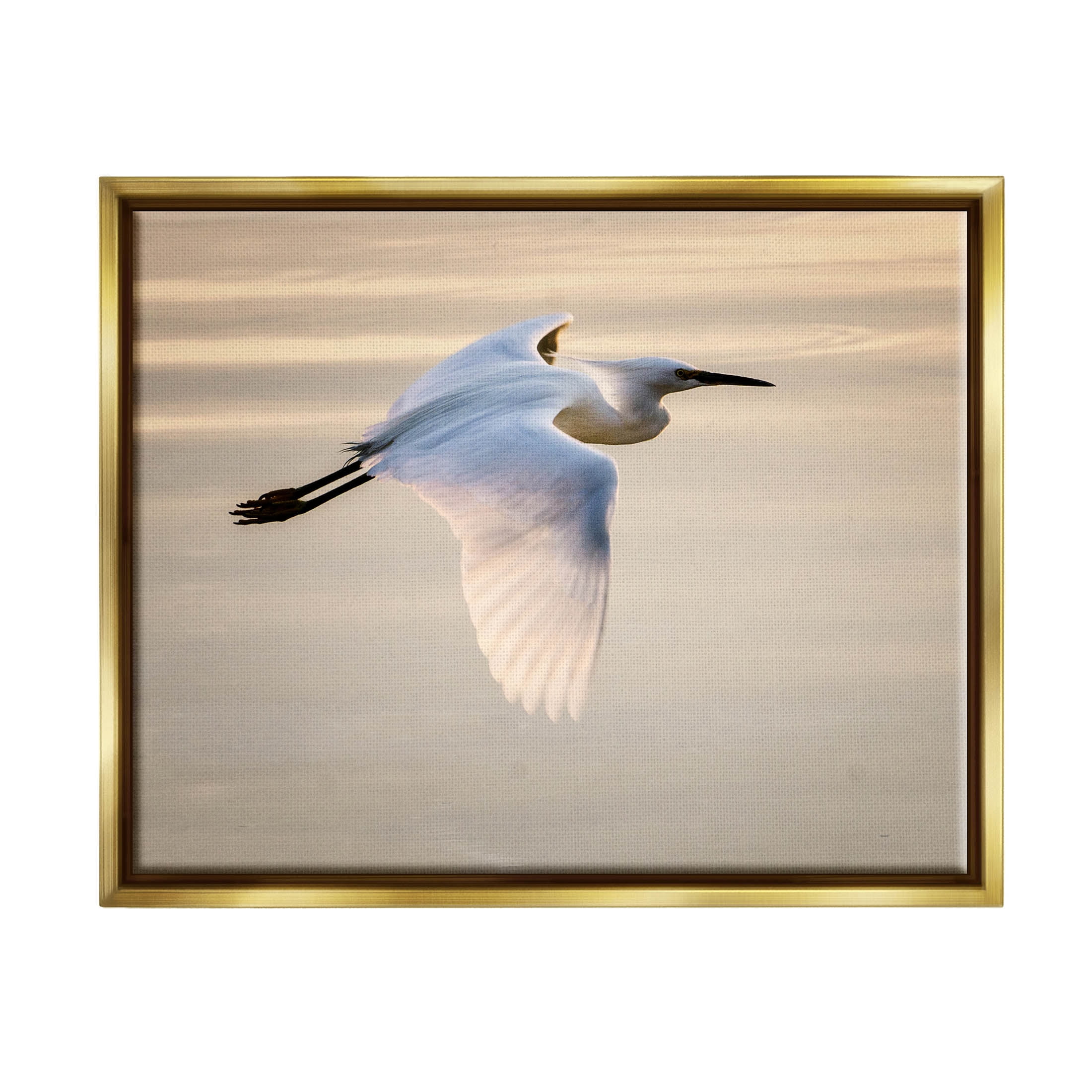 Egret Gliding Aerial View Animals & Insects Photograph Metallic Gold Framed Art Print Wall Art