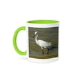thumbnail image 1 of 3dRose, Egret Stroll, 15oz Two-Tone Green Mug, 1 of 7