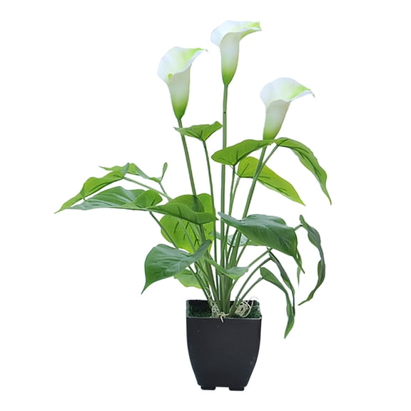 Eguiwyn The Mold Simulation Plant Bonsai Simulation Flower Calla Green Plant Simulation White