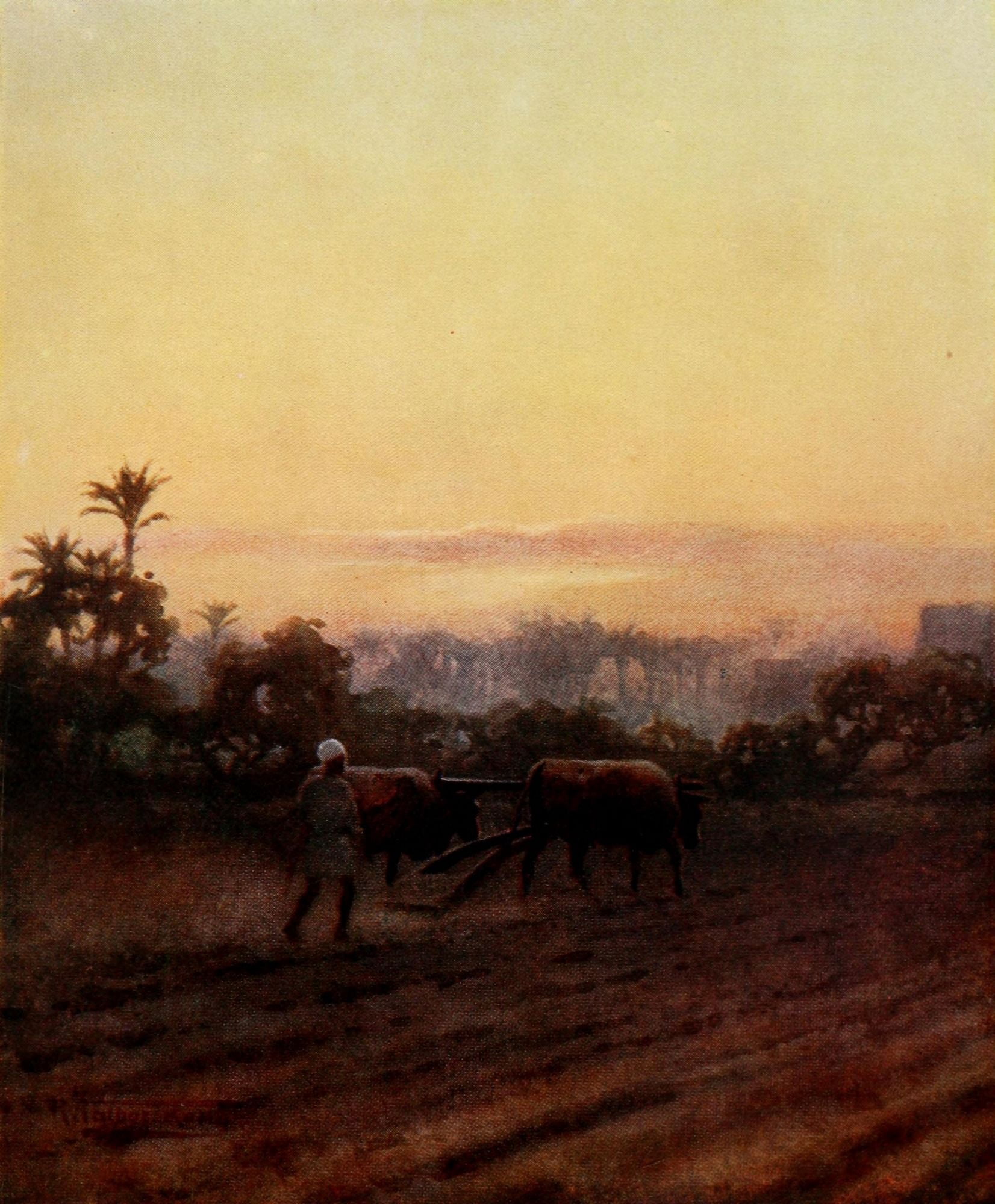 Egypt 1903 Late labour Canvas Art - Robert Talbot Kelly (24 x 36)