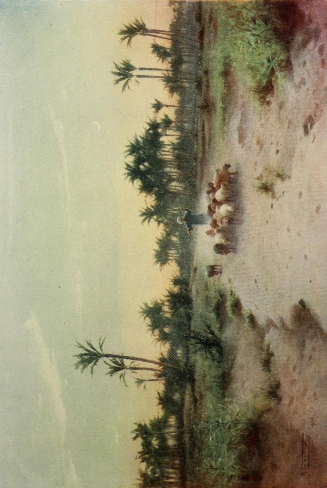 Egypt 1903 The land of Goshen Canvas Art - Robert Talbot Kelly (24 x 36)