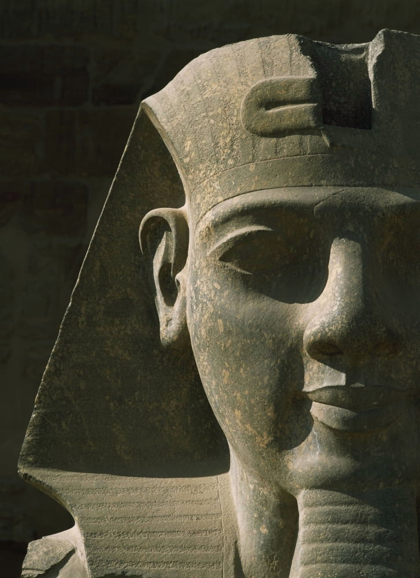 Egypt Detail of pharaoh head at entrance to Luxor Temple Luxor Canvas Art - Ian Cumming Design Pics (13 x 18)