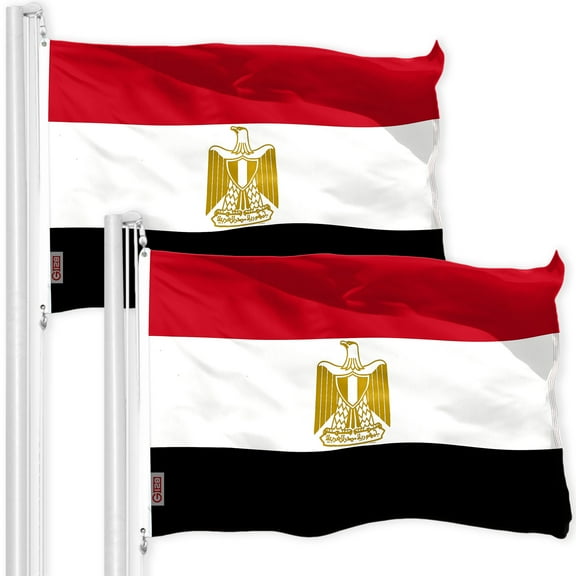Egypt Egyptian Flag 3x5FT 2-Pack 150D Printed Polyester By G128
