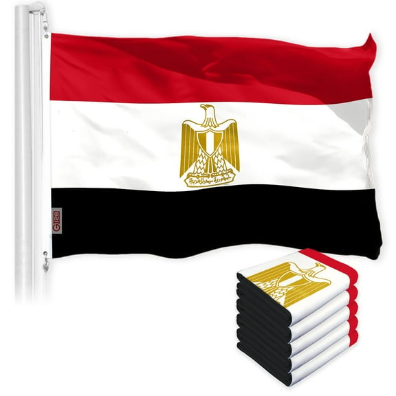 Egypt Egyptian Flag 3x5FT 5-Pack 150D Printed Polyester By G128