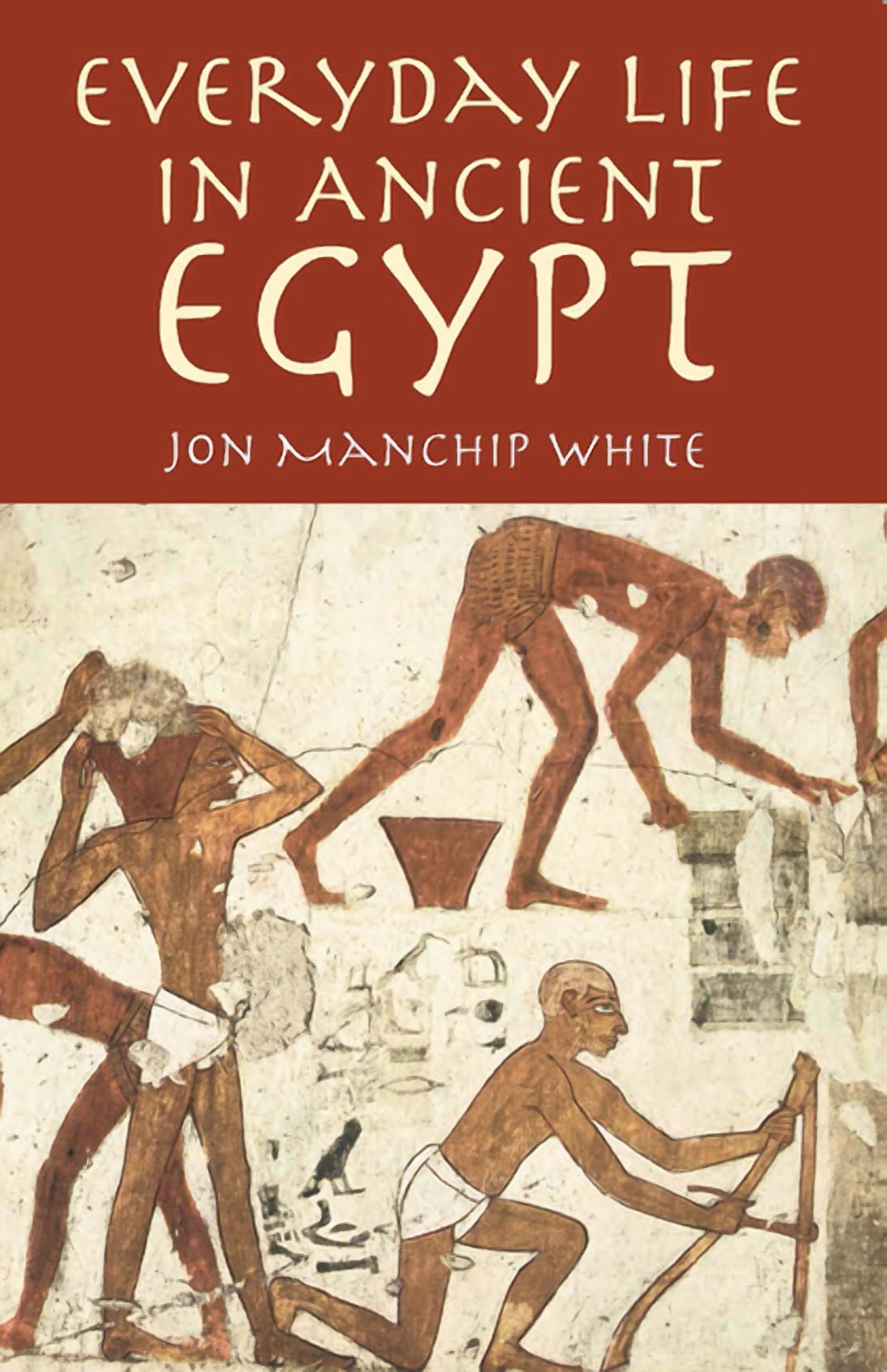 Egypt: Everyday Life in Ancient Egypt (Paperback) - Walmart Business ...