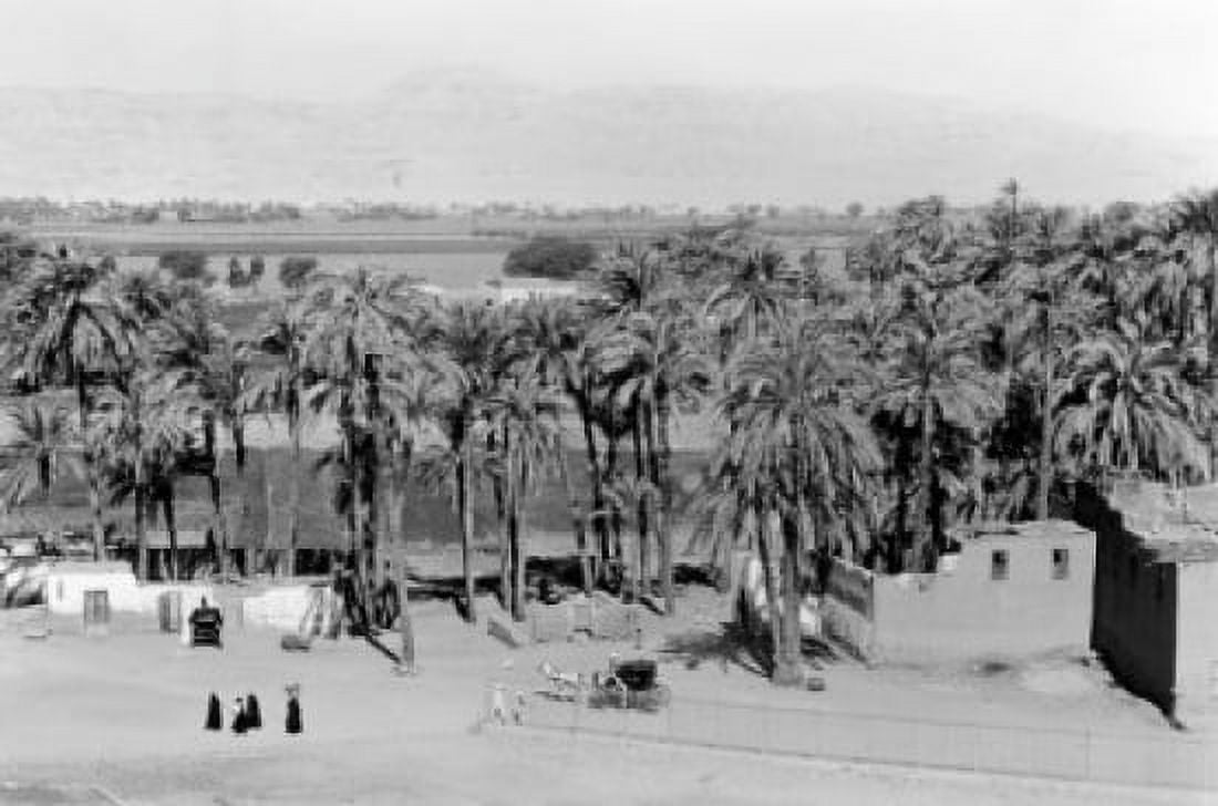Egypt Karnak oasis Canvas Art -  (24 x 36)