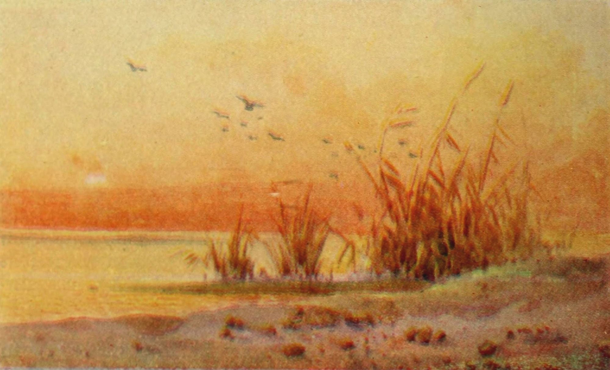 Egypt & how to see it 1907 Sunset on the banks of Lake Menzaleh Canvas Art - Augustus Osborne Lamplough (18 x 24)