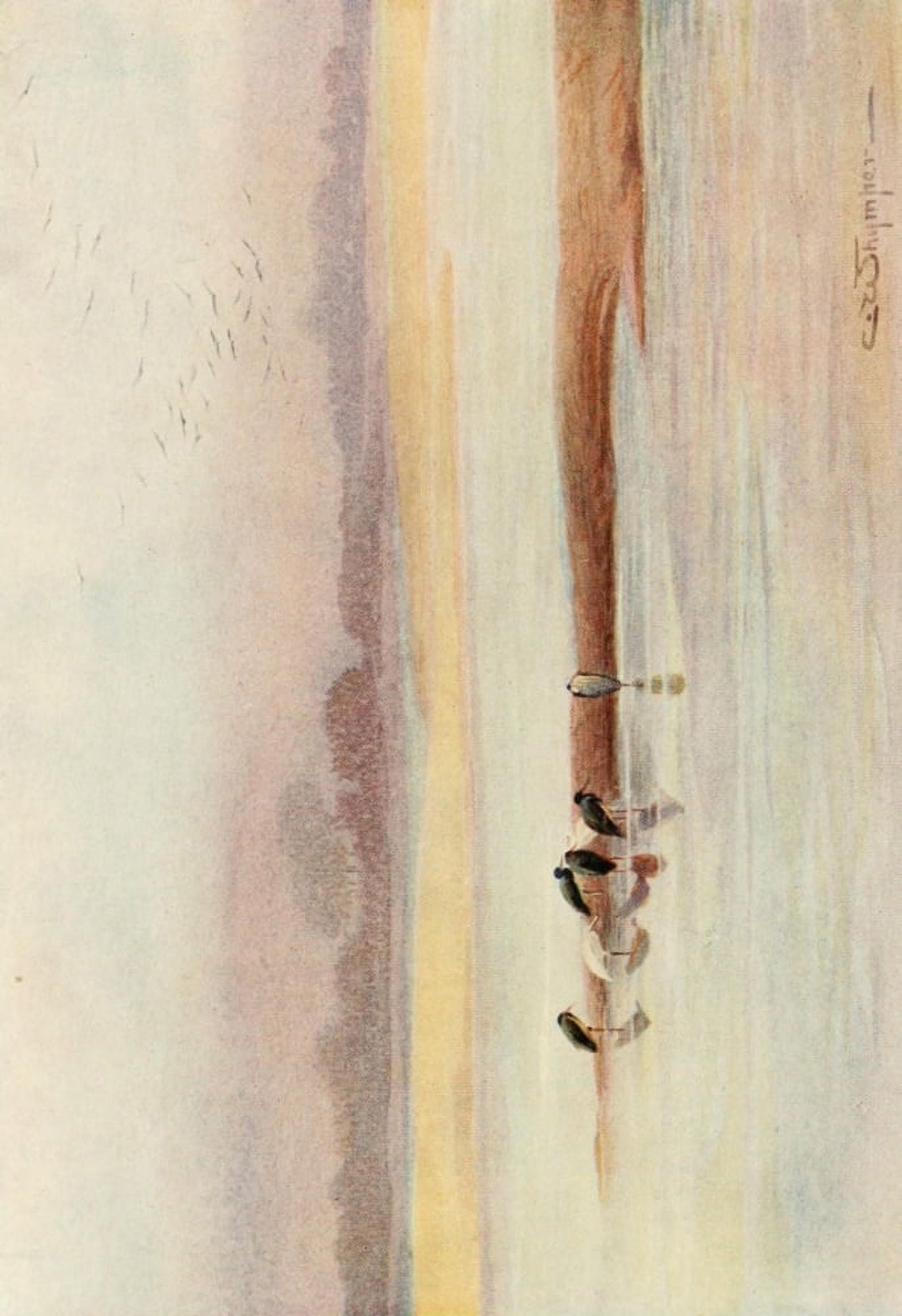 Egyptian Birds 1909 Storks Canvas Art - Charles Whymper (18 x 24)