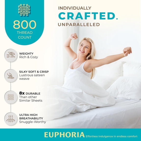 Egyptian Cotton Sheets Twin Size Bed Set - 3 PC 800 High Thread Count Egyptian Cotton Twin Sheet Set (Ivory) Soft, Cooling, 16" Deep Pocket Sateen Weave Luxury Hotel Bedsheet