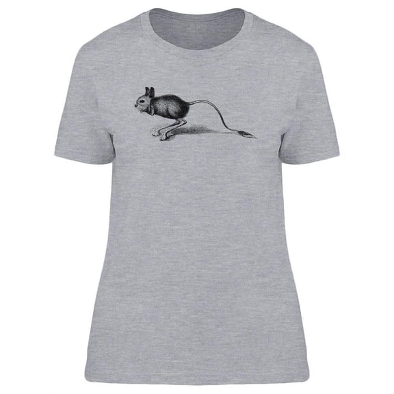 Egyptian Jerboa  T-Shirt Women -Image by Shutterstock, Female XX-Large