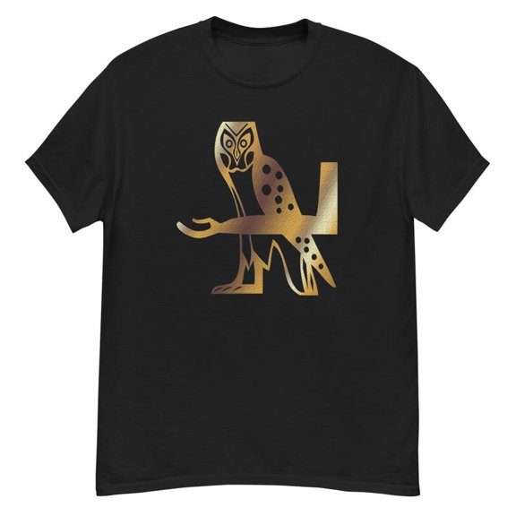 Egyptian Owl Hieroglyphs Symbols Graphic TShirt Ancient History Gift,for unisex up to size 5XL