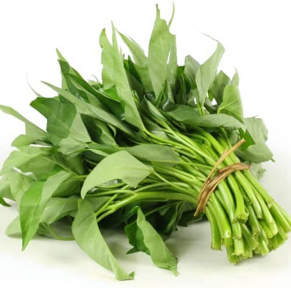 Egyptian Spinach,1000 Jute Seeds,Saluyot, Molokhia, Plant Spring Or