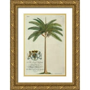 Ehret, Georg 13x18 Gold Ornate Wood Framed with Double Matting Museum Art Print Titled - King Palm
