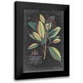 thumbnail image 1 of Ehret, George 13x18 Black Modern Framed Museum Art Print Titled - Dramatic Royal Botanical VI, 1 of 5