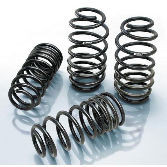 Eibach Springs