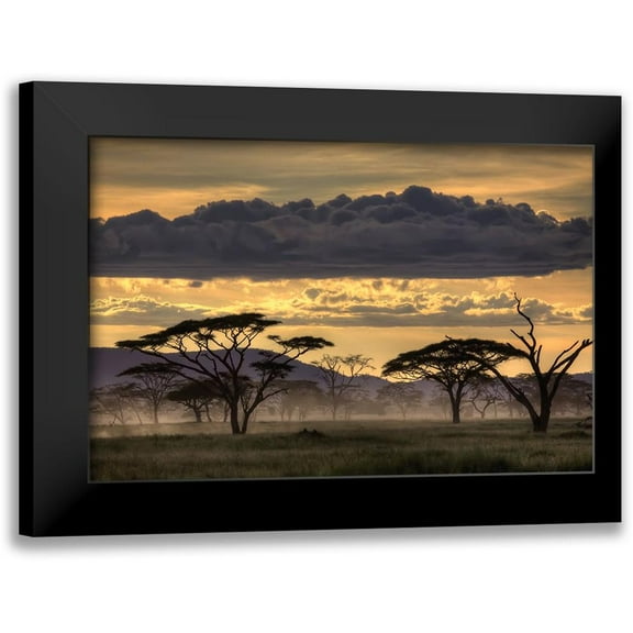 Eichelberg, Amnon 18x13 Black Modern Framed Museum Art Print Titled - Good Evening Tanazania