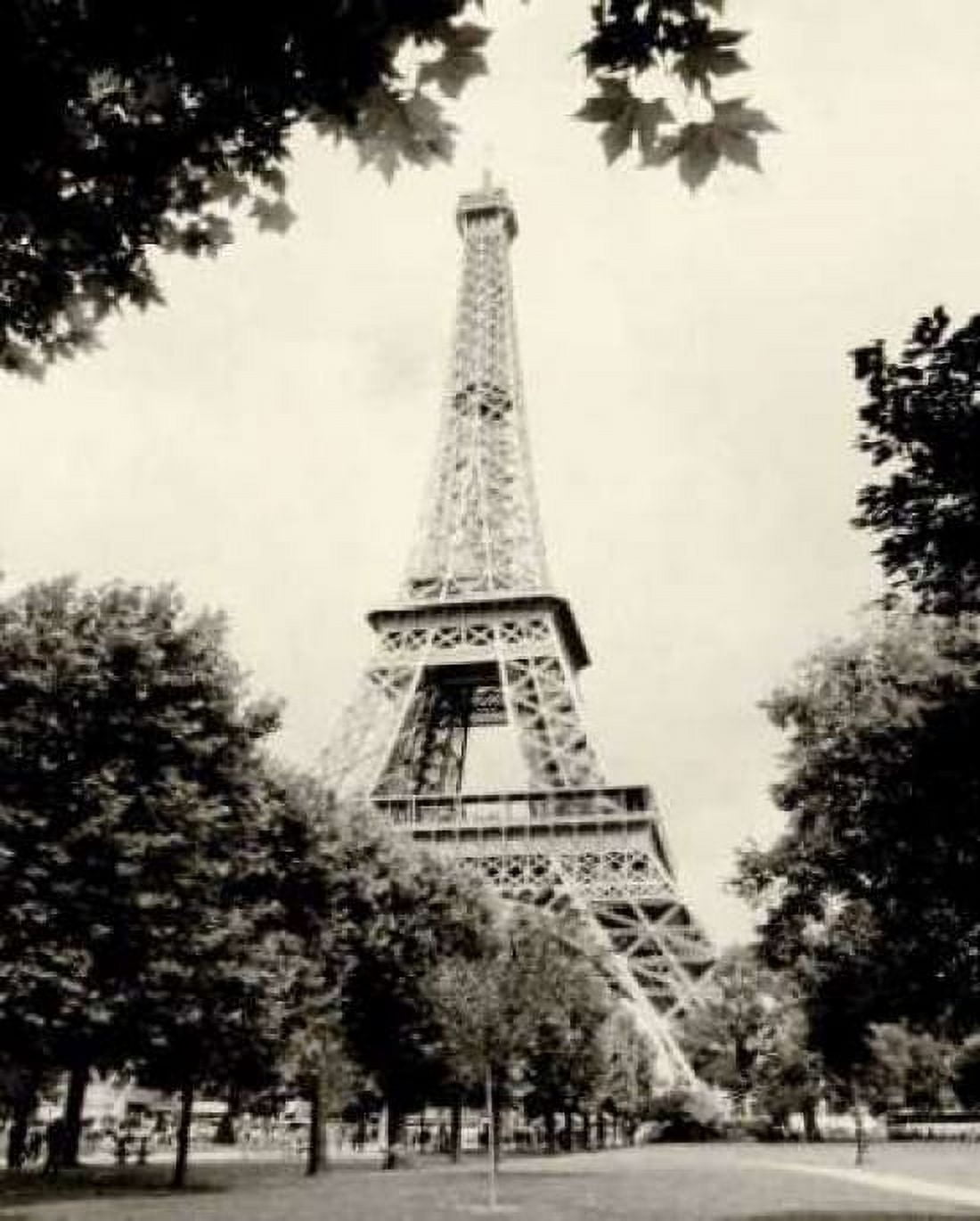 Eiffel Tower I Canvas Art - Amy Melious (24 x 30)