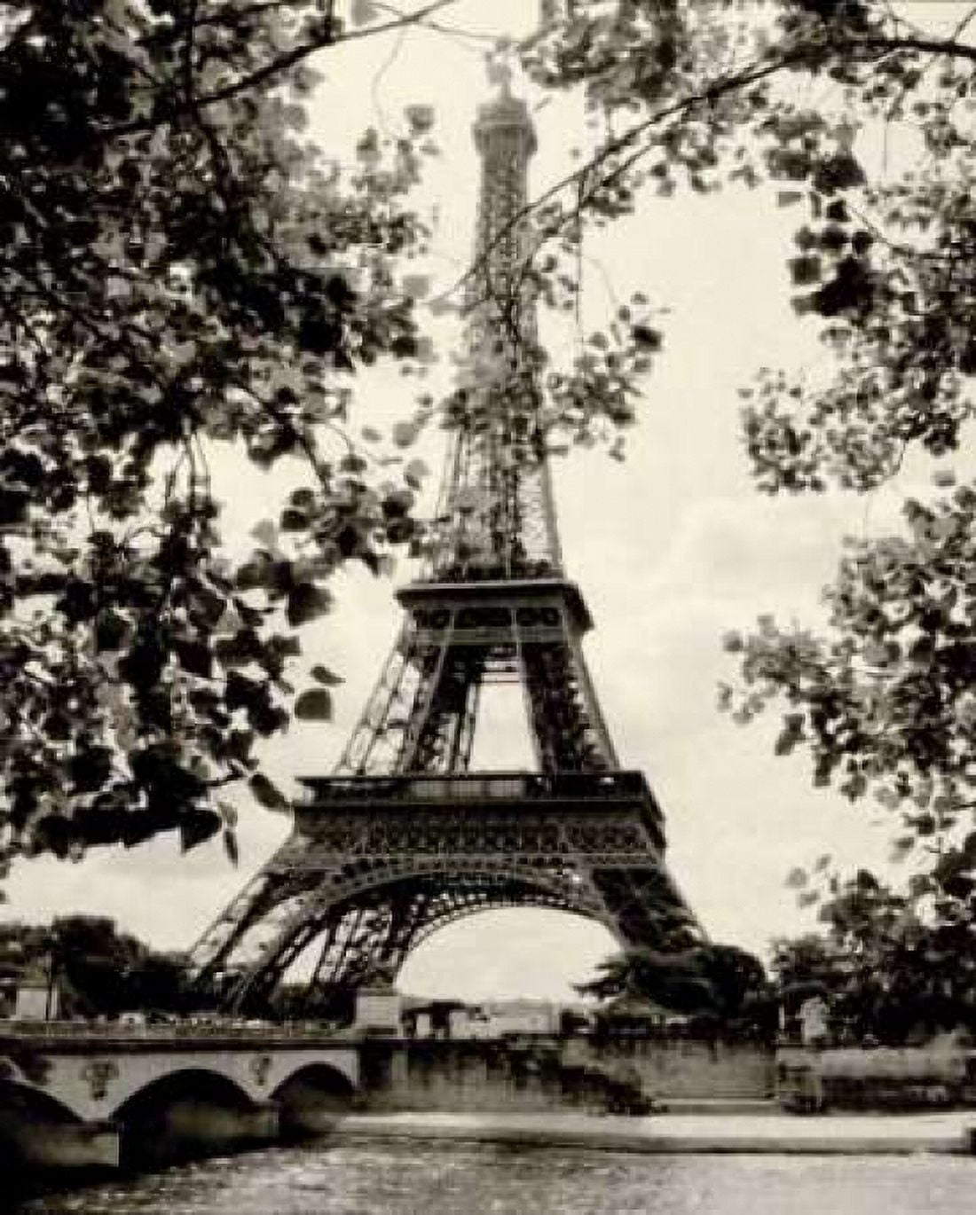 Eiffel Tower II Canvas Art - Amy Melious (24 x 30)