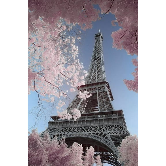 Eiffel Tower Infrared - Paris Poster (24 x 36)