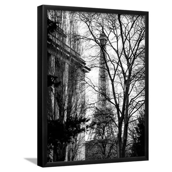 Eiffel Tower View of Winter Trocadero  Paris, France  Black and White Photography, Scenic Seasons Framed Art Print Wall Art by Philippe Hugonnard Sold by Art.Com