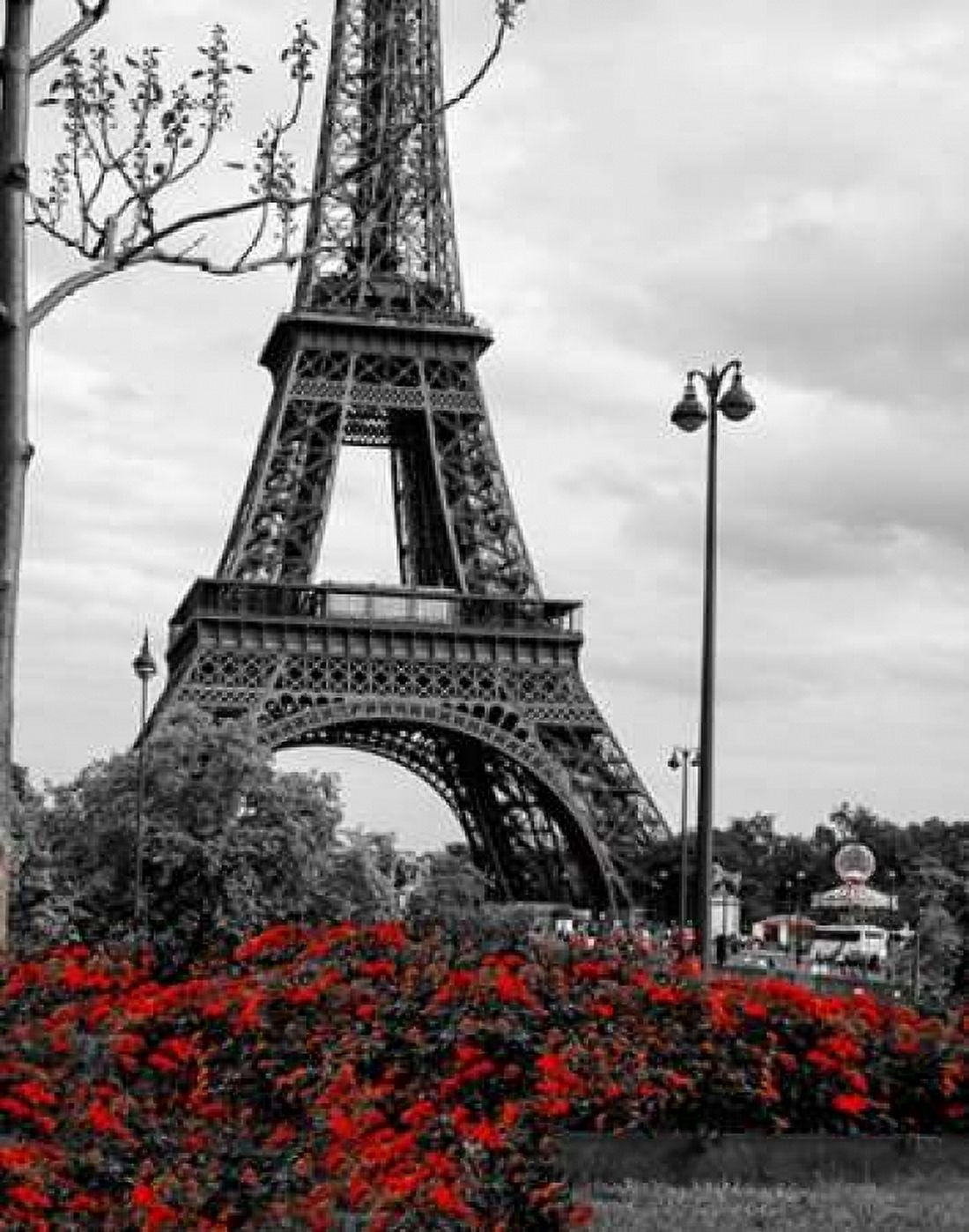 Eiffel Tower with Red Pop Canvas Art - Emily Navas (24 x 30)