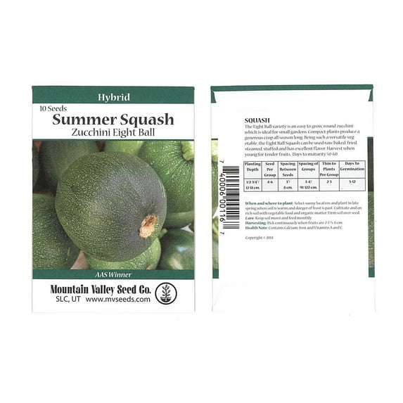 Eight Ball Hybrid Zucchini Summer Squash Garden Seeds - 10 Seed Packet - Non-GMO - Vegetable Gardening Seed