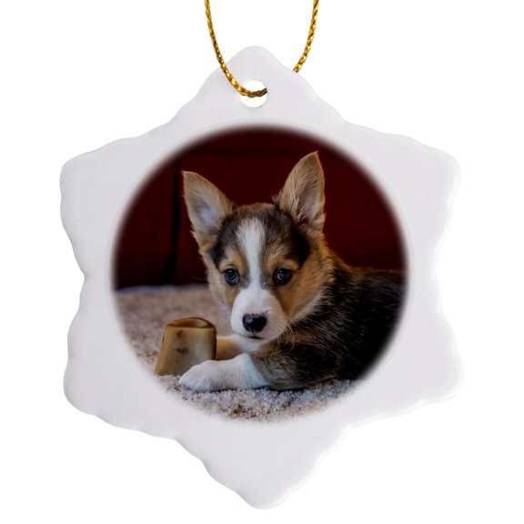 3drose, Eight Week Old Corgi Puppy Resting on the Carpet Guarding His Bone., 3 inch Snowflake Porcelain Ornament