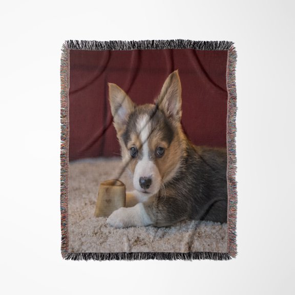 Eight Week Old Corgi Puppy Resting On The Carpet Guarding His Bone. , Woven Blanket