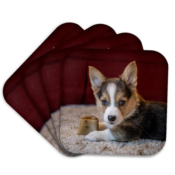 3drose, Eight Week Old Corgi Puppy Resting on the Carpet Guarding His Bone., Set of 4 Coasters - Soft