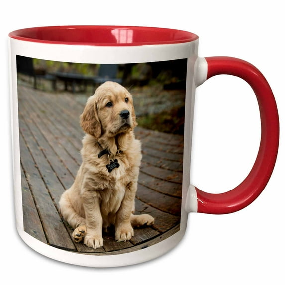 3drose, Eight Week Old Golden Retriever Puppy Sitting on a Wooden Deck., Pr, 11oz Two-tone Red Mug