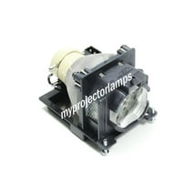Eiki LC-WBS500 Projector Lamp with Module