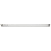 Eiko 15W 18in T8 Cool White Fluorescent Tube