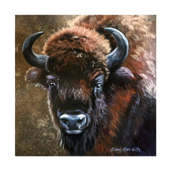 Eileen Herb-Witte 'Buffalo Bob' Canvas Art