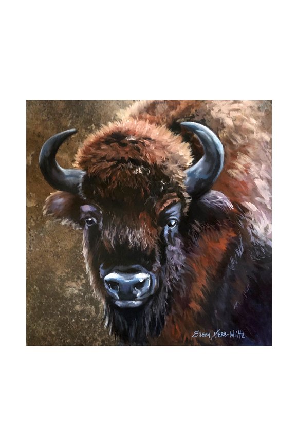 Eileen Herb-Witte 'Buffalo Bob' Canvas Art