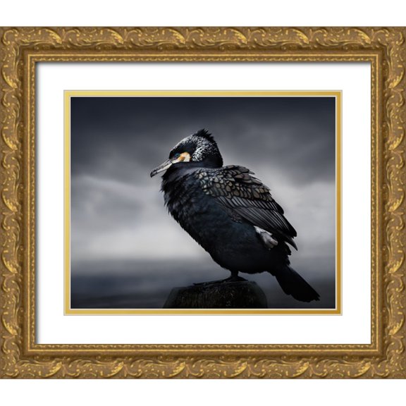 Eilertsen, Martin 24x20 Gold Ornate Wood Framed with Double Matting Museum Art Print Titled - Chief
