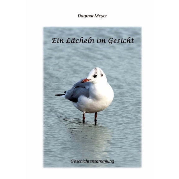 Ein Lcheln im Gesicht (Paperback)