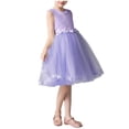 thumbnail image 1 of Einccm Girls Princess Dress - Sleeveless Round Neck Floral Lace Embroidery Mesh Tutu Gown - Elegant Evening Party Performance Vestidos for Toddlers and Big Kids Ages 3-14 Years Old, 1 of 5