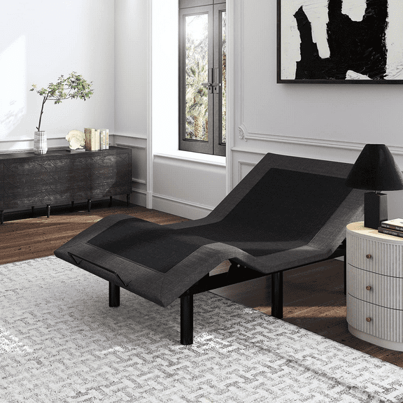 Einfach 14" Adjustable Wireless Control and Metal Support Bed Frame, Twin XL