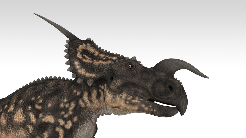 Einiosaurus dinosaur white background Canvas Art - Kostyantyn IvanyshenStocktrek Images (19 x 11)