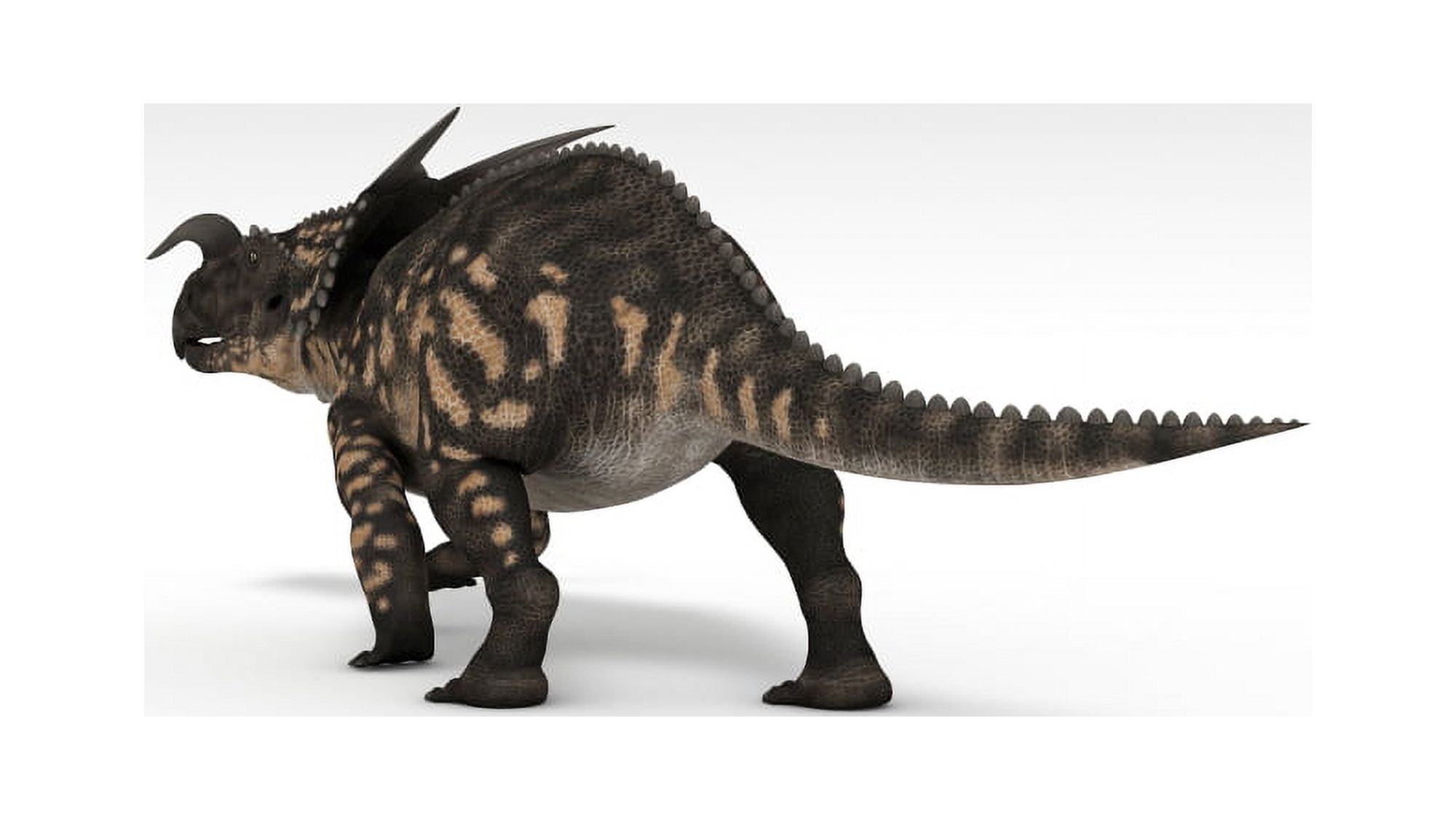 Einiosaurus dinosaur white background Canvas Art - Kostyantyn IvanyshenStocktrek Images (38 x 22)