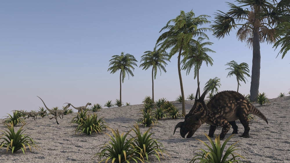 Einiosaurus grazing in a tropical climate Canvas Art - Kostyantyn IvanyshenStocktrek Images (38 x 22)