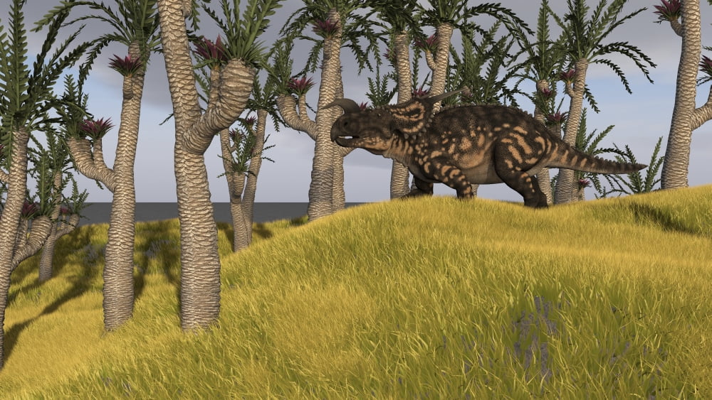 Einiosaurus in a grassy field Canvas Art - Kostyantyn IvanyshenStocktrek Images (19 x 11)