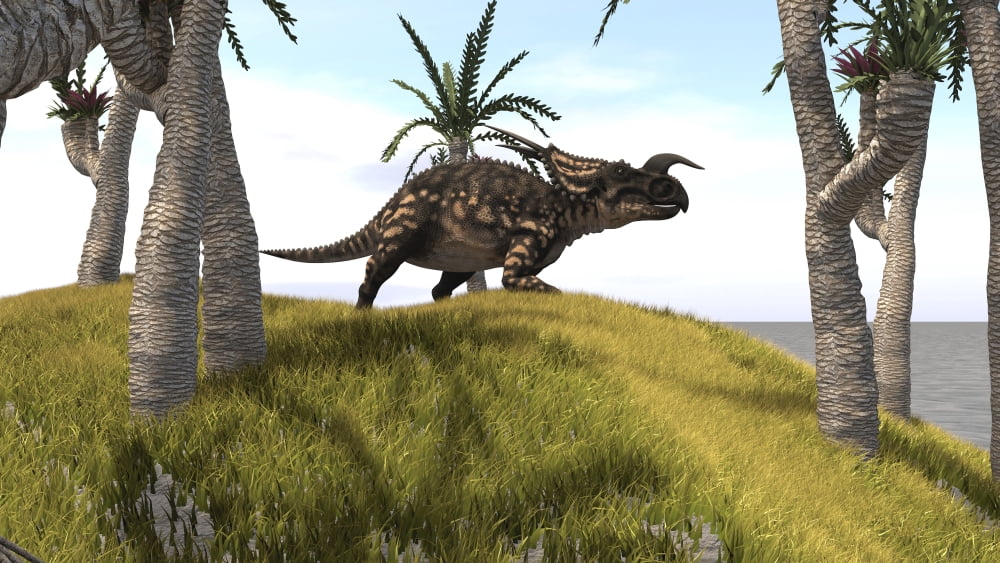 Einiosaurus on a grassy hill Canvas Art - Kostyantyn IvanyshenStocktrek Images (19 x 11)