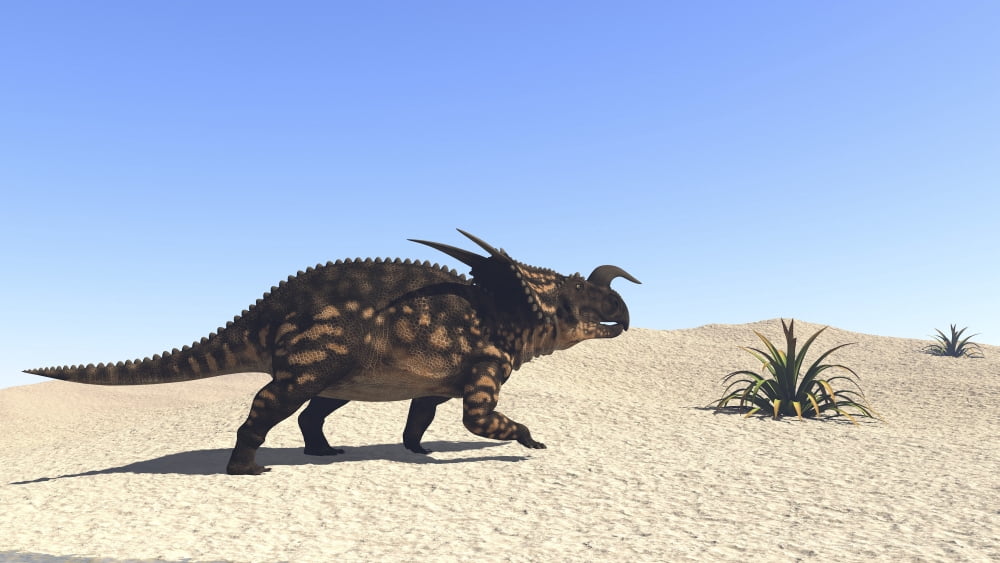 Einiosaurus walking across a barren landscape Canvas Art - Kostyantyn IvanyshenStocktrek Images (38 x 22)